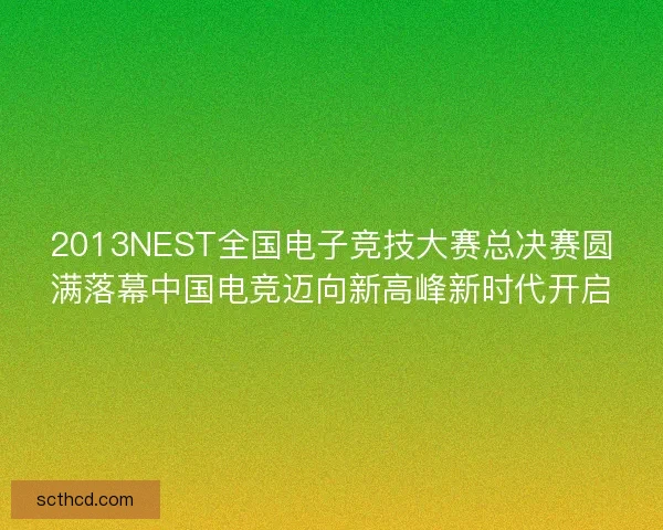 2013NEST全国电子竞技大赛总决赛圆满落幕中国电竞迈向新高峰新时代开启
