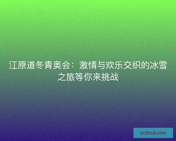 江原道冬青奥会：激情与欢乐交织的冰雪之旅等你来挑战